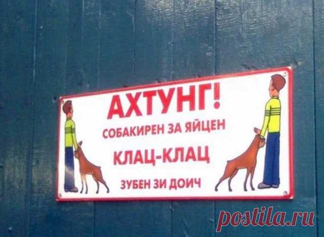 16 табличек от хозяев с прекрасным чувством юмора • НОВОСТИ В ФОТОГРАФИЯХ
