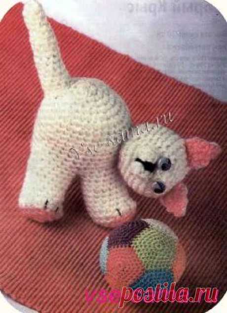 ** Котенок белый