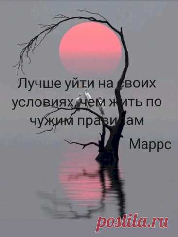Выпуск №6564 - выпуск анекдотов сайта вокруг смеха