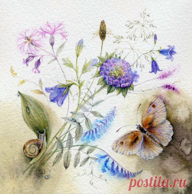 Художник-иллюстратор Элина Репкина (Моисеенко).