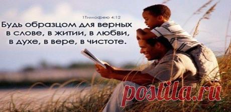 Фотоальбом «Мои фотографии» - Владимир, Санкт-Петербург, 51 год