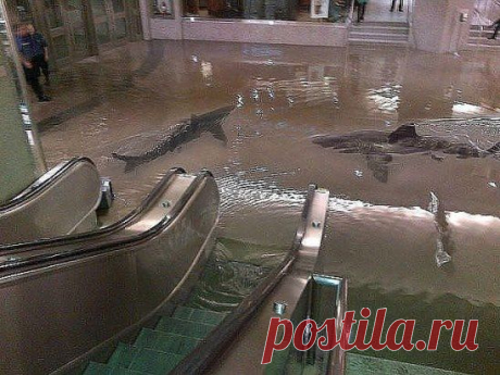 Лучше 3D рисунка я пока не видела!
