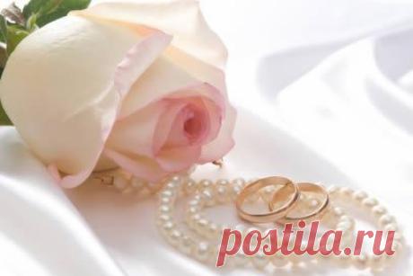 big_8dad47889db85aecf92c6b3ca29f3cfa.jpg (1348×900)