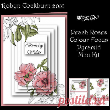 Peach Roses Colour Focus Pyramid Mini Kit