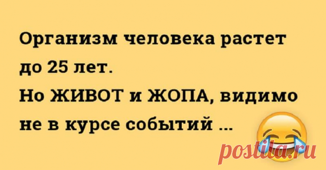 Крутые анекдоты, которые поднимут Вам настроение!