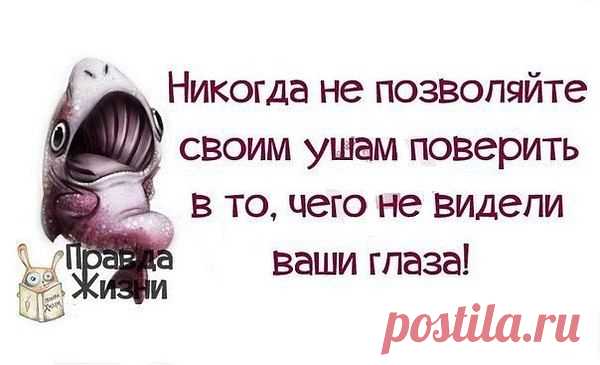 Интересные новости