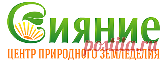 Томат Трюфель густо-малиновый (Сибирский Сад)