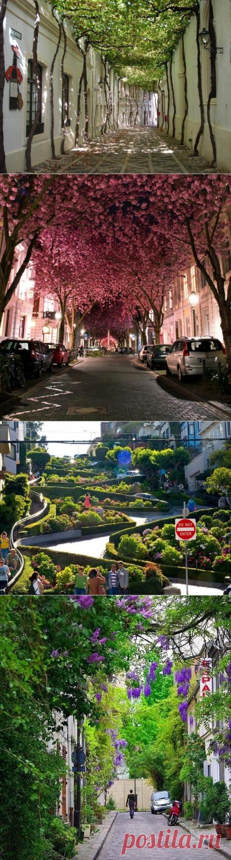 Уютные городские улицы со всего мира