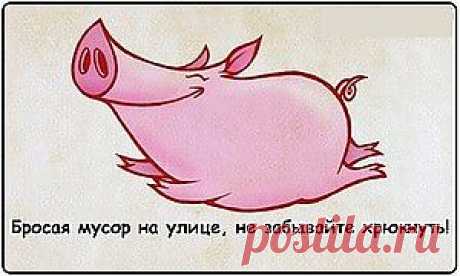 Не спешите выбрасывать!.