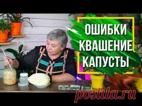 Ошибки при Квашении Капусты ✔️ Как Правильно квасить Капусту