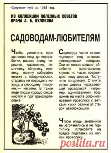 Полезные советы садоводам-любителям