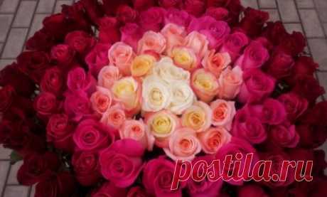 Букеты из роз
#букет_из_роз