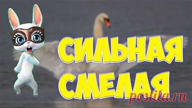 Сильная смелая как лебедь белая! Красивая песенка переделка попурри ZOOBE Муз Зайка