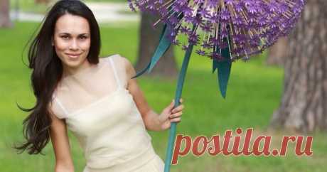 Giant Paper Flowers