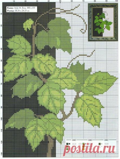 aa5833e2bef4c8d7751c0042167fdfa6.jpg (1212×1600)