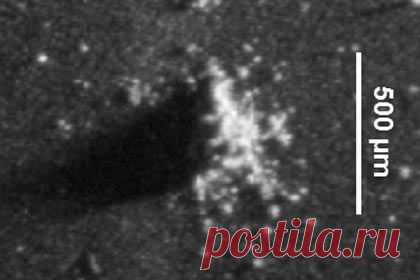 Rosetta нашла на комете частицы межпланетн / Интересный космос