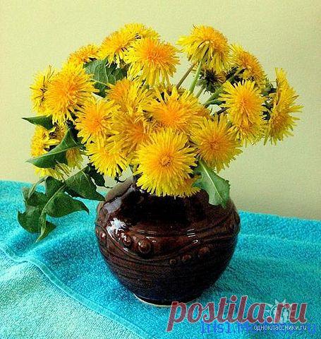 ✿*✿* ВЕРНИСАЖ *✿*✿
இڿڰۣ-ڰ Екатерина இڿڰۣ-ڰۣ