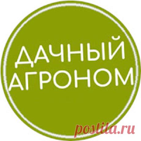 Дачный агроном Растим дачное счастье! Наш канал приносит пользу миру, рассказывая, как вырастить красоту и вкусноту своими руками на небольших приусадебных участках. Профес...