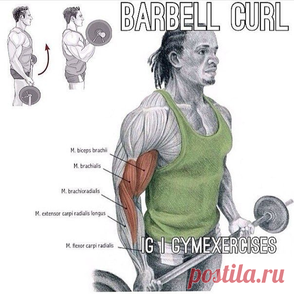 Эффективный трехдневный сплит для набора мышечной массы / Спорт Сильных!