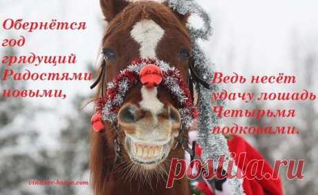 лошади