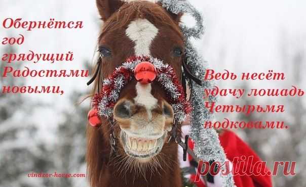 лошади