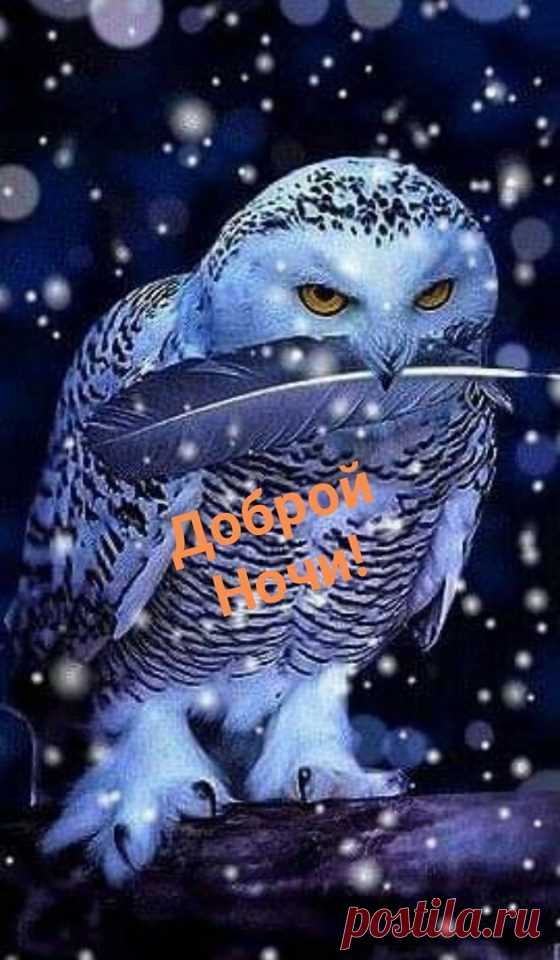 (56) Зина Таирова