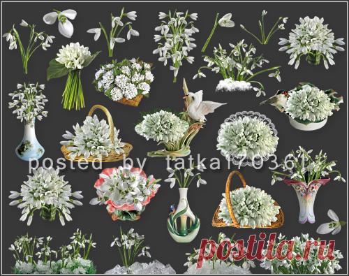 Подснежники. PNG