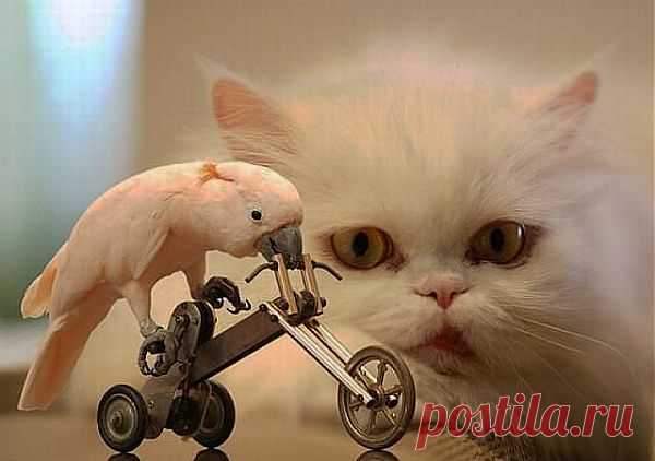 ну вот и няньчийся с этим гонщиком, оно мне надо?