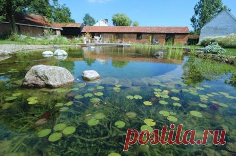 Пруд-купальня в саду: советы по созданию Вода всегда магическим образом притягивала к себе человека — будь то декоративный водоем, бассейн, журчание ручейка, шум водопада, игра света в струях фонтана. Вода энергизирует пространство, наполняет его жизнью, улучшает […]