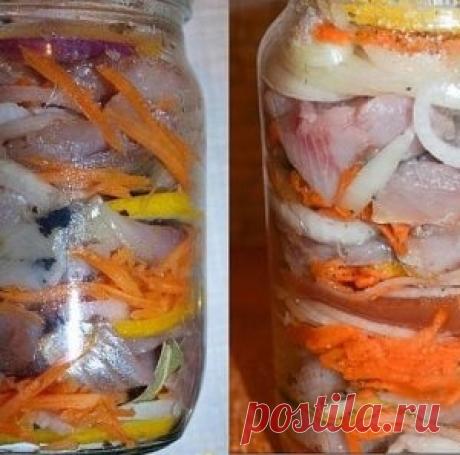 Гигантская панда распсиховалась из-за того, что застряла на дереве - МирТесен