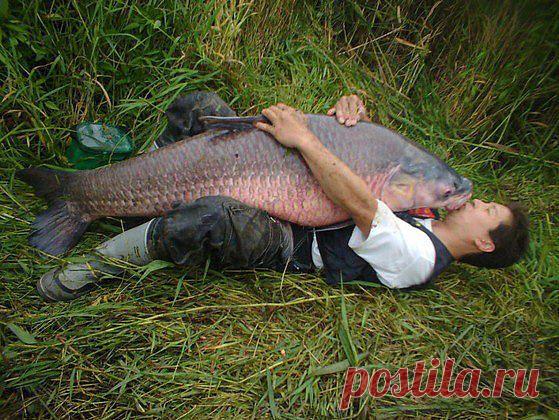 РЫБОНЬКА ТЫ МОЯ !!