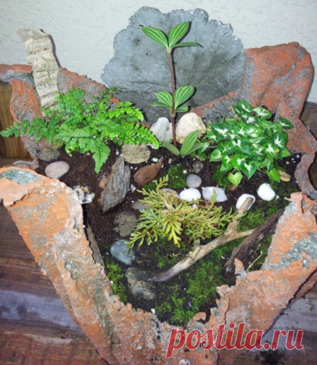 Create Your Own Cement Cloth Planter Make Your Own Cement Cloth Planting Pot Want a unique rustic planter for your front porch, lanai or just about anywhere?  These cement cloth planters are a fun easy project for everyone.  It’…