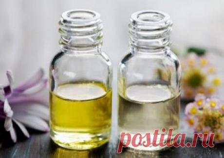 Добавь эти два ингредента в свой шампунь и скажи выпадению волос «Стоп» Проблема выпадения волос — бич не только старшего поколения, но и молодежи. Зачастую происходит это из-за неправильного питания, нарушения гормонального баланса, сильных эмоциональных потрясений и неправильного ухода за волосами.   Причины …