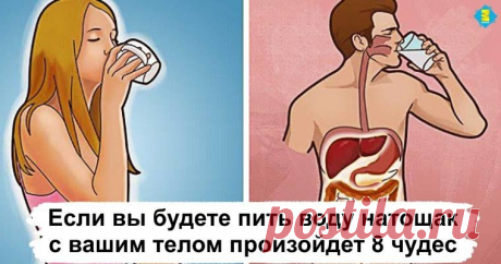 Если вы будете пить воду натощак после пробуждения, с вашим телом произойдет 8 чудес      Японские женщины хорошо известны своими стройными и здоровыми фигурами. Хотя генетика наверняка играет определенную роль, многие утверж...