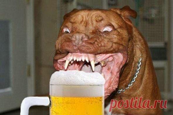 Сушняк он такой))))))))))))