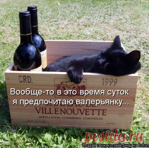 Уфф!!! Ну наконец-то! Котоматрицы великолепные, каждая с улыбкой и хорошим настроением!