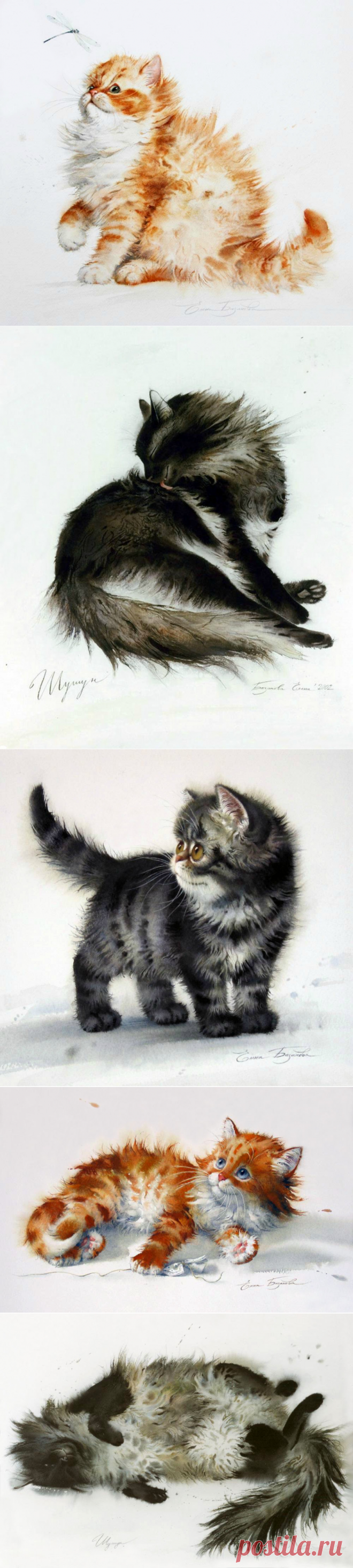 АКВАРЕЛЬНЫЕ КОШКИ ЕЛЕНЫ БАЗАНОВОЙ.