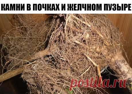 (2) Одноклассники