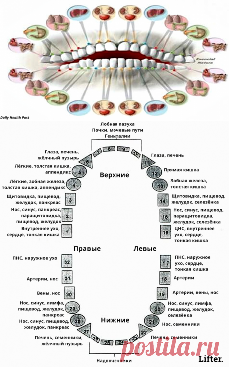 Вот о каких проблемах со здоровьем может рассказать зубная боль!