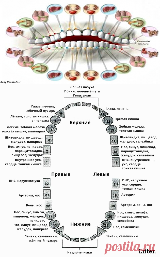 Вот о каких проблемах со здоровьем может рассказать зубная боль!