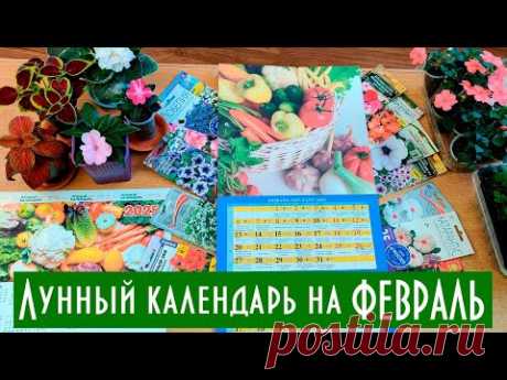 ЛУННЫЙ КАЛЕНДАРЬ помогает сажать овощи и цветы в ФЕВРАЛЕ 2025