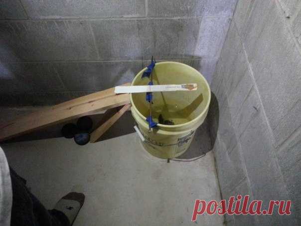 МЫШЕЛОВКА СВОИМИ РУКАМИ ИЗ ВЕДРА