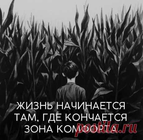 Интересные новости