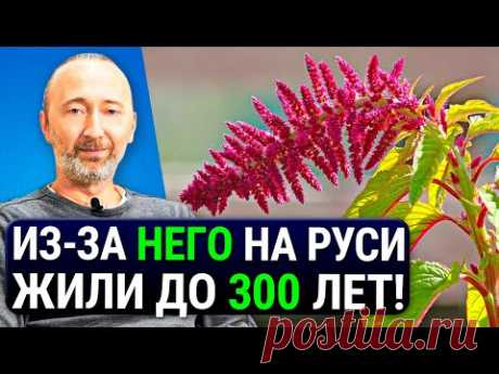 ОН дарует бессмертие, защищает от РАКА и старения! ЕГО состав как у грудного молока! Еда №1 на Руси. - YouTube Просматривайте этот и другие пины на доске Здоровье пользователя Галина.
Теги
ОН дарует бессмертие, ЗАЩИЩАЕТ ОТ РАКА И СТАРЕНИЯ!
ЕГО СОСТАВ КАК У ГРУДНОГО МОЛОКА!
- YouTube
Просматривайте этот и другие пины на доске здоровье пользователя Валентина.
Что говорят другие
ОН ДАРУЕТ БЕССМЕРТИЕ, ЗАЩИЩАЕ...
- YouTube ОН ДАРУЕТ БЕСКОНЕЧНОЕ МОЛОДОСТЬ И КРАСОТУ!
Его состав как у ГРУДНОГО МОЛОК..…