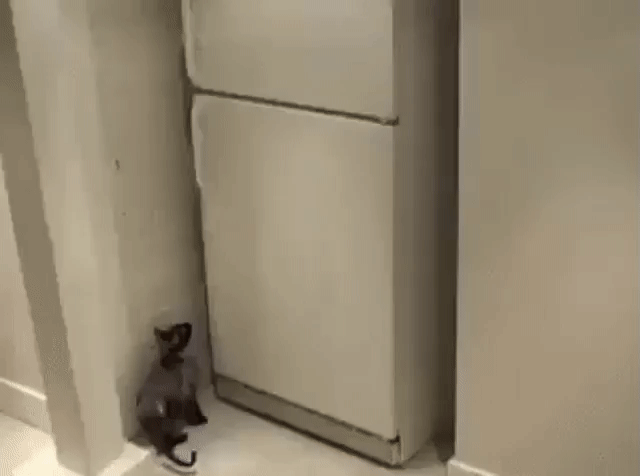 Покормили они меня на ночь, понимаешь...
А я может не наелся!!!!!!!!!