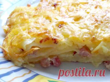 картофельные запеканки