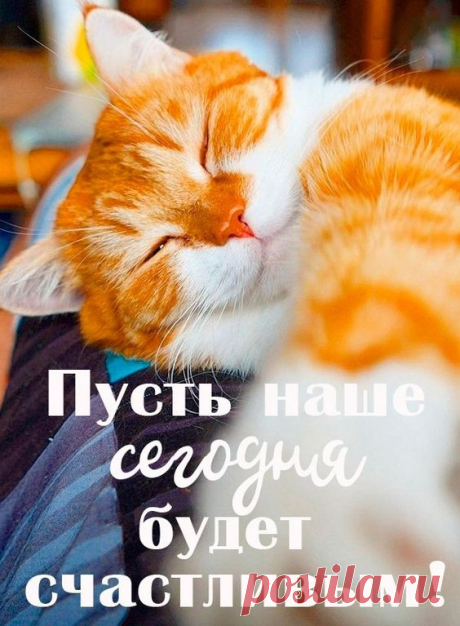 (2) Pinterest
