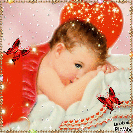 Живые фотографии – Google+