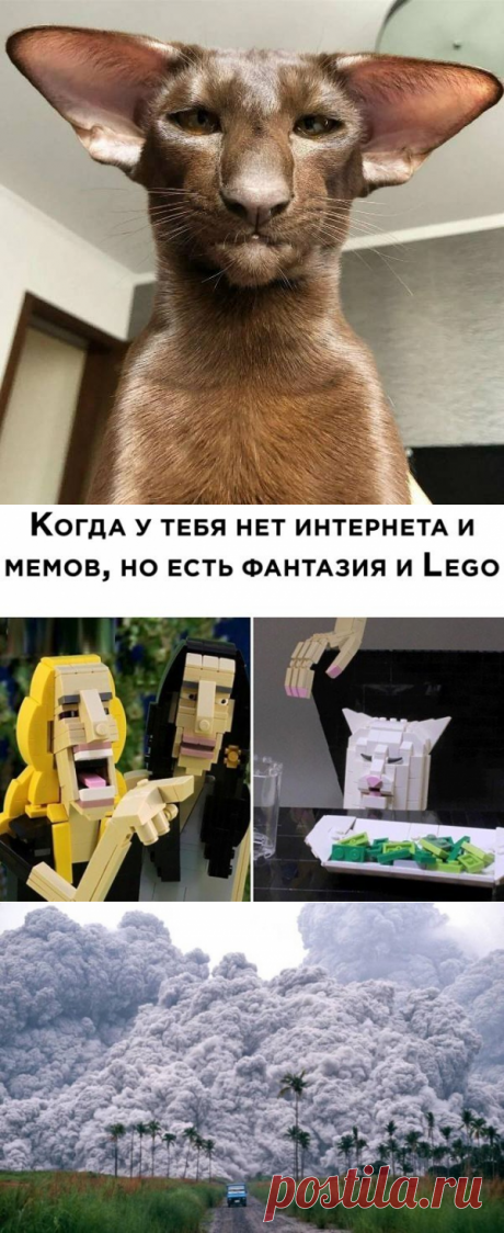 Подборка прикольных картинок и фотографий-270