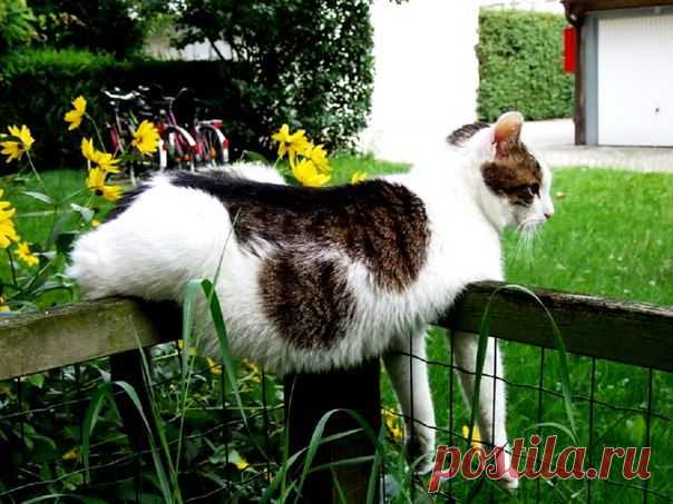 Отдых